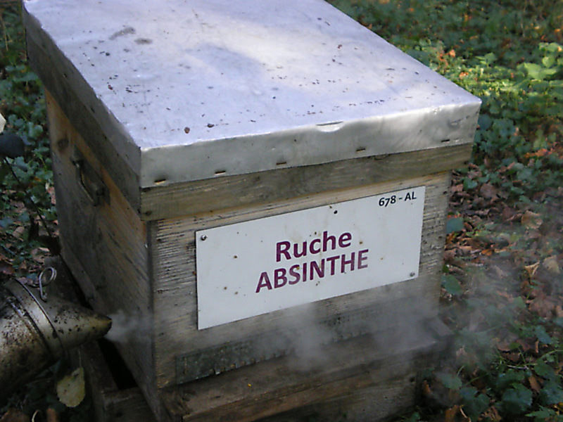 La ruche Absinthe
