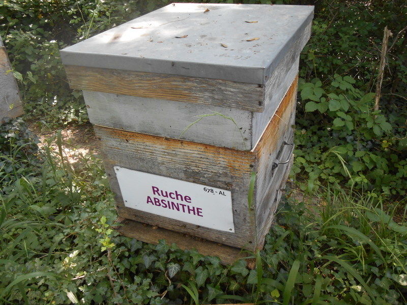 La ruche Absinthe