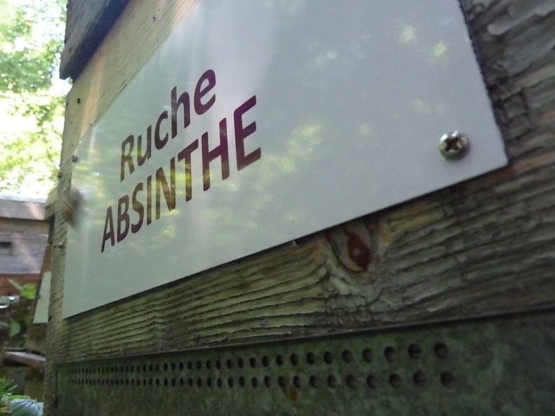 La ruche Absinthe