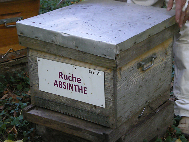 La ruche Absinthe