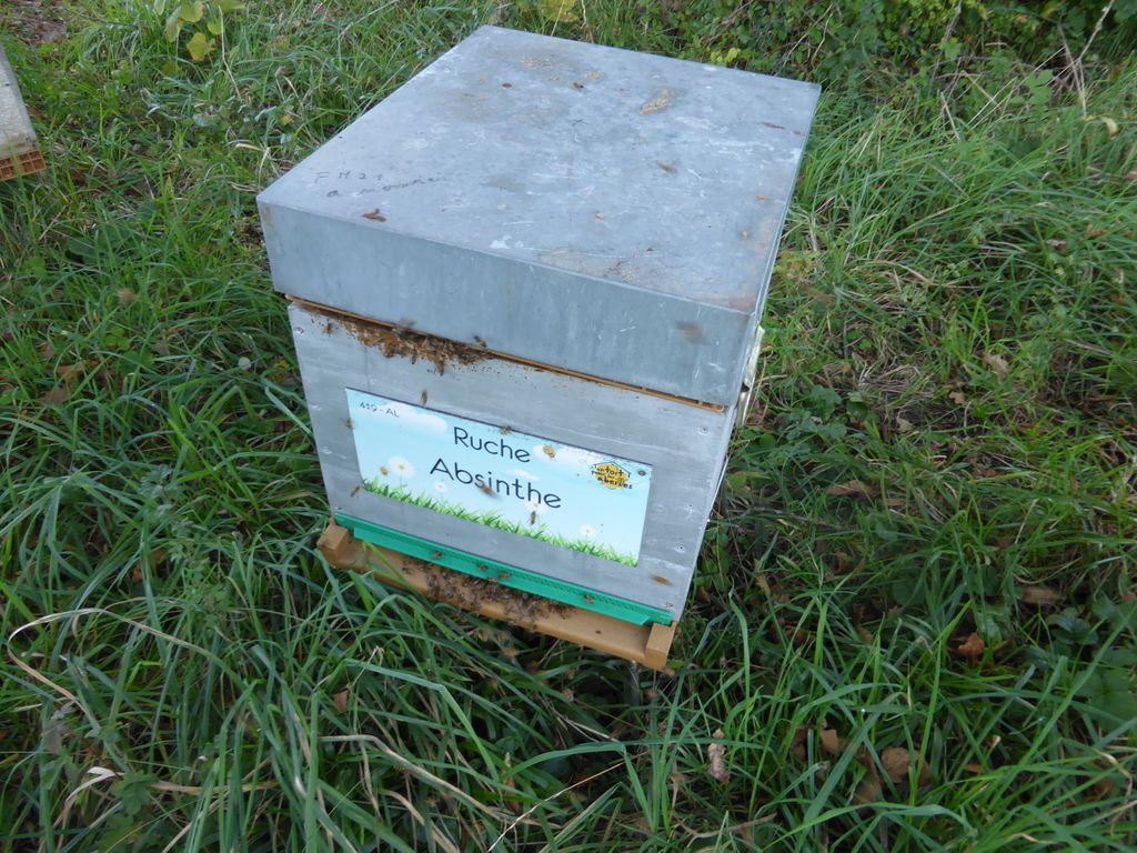 La ruche Absinthe
