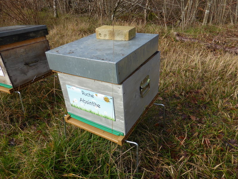 La ruche Absinthe