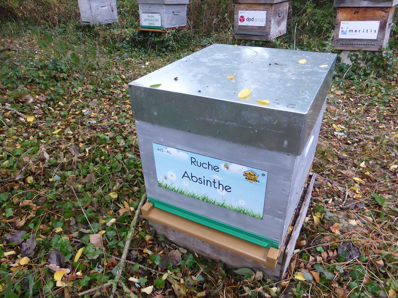 La ruche Absinthe