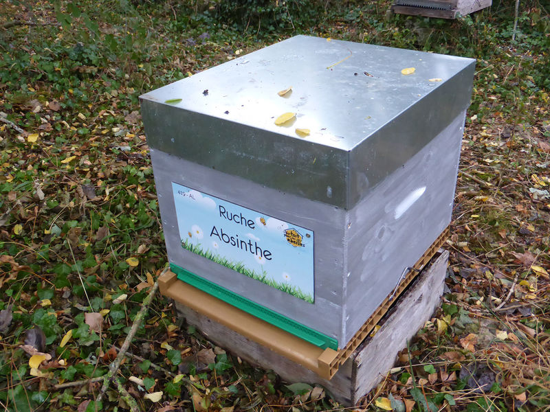 La ruche Absinthe