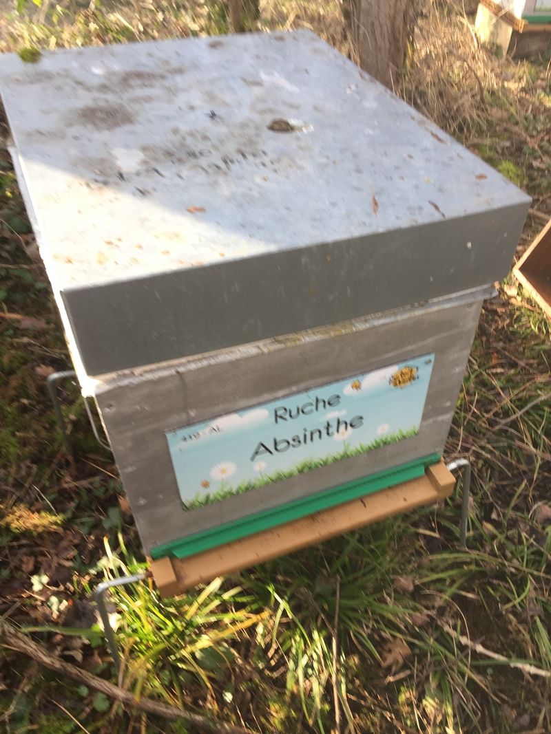La ruche Absinthe