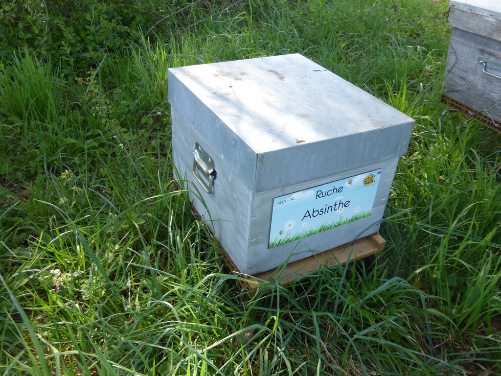 La ruche Absinthe