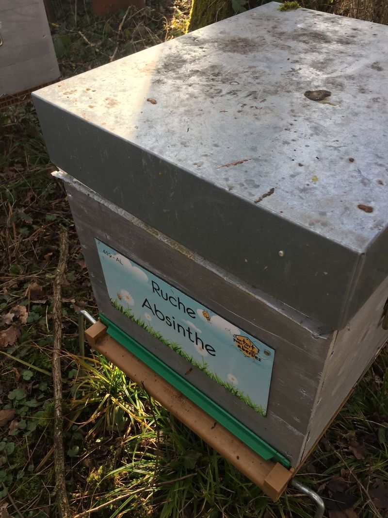 La ruche Absinthe