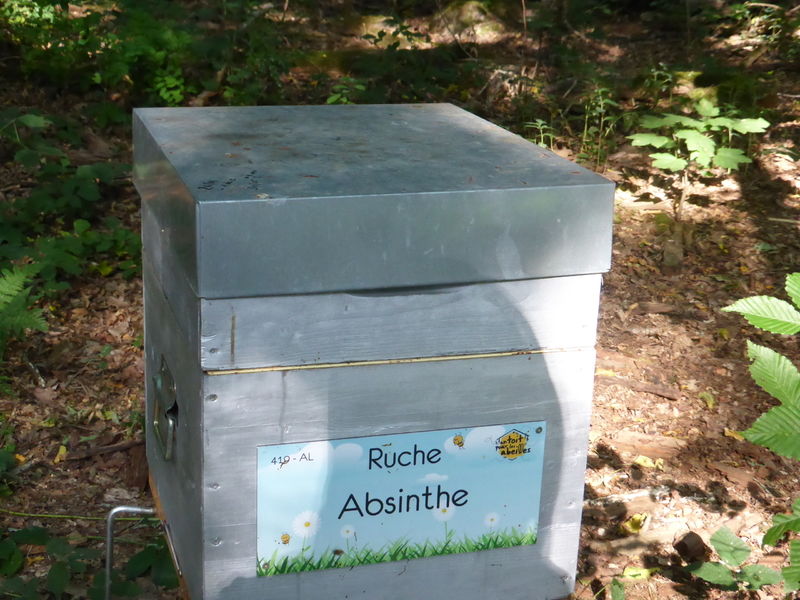 La ruche Absinthe