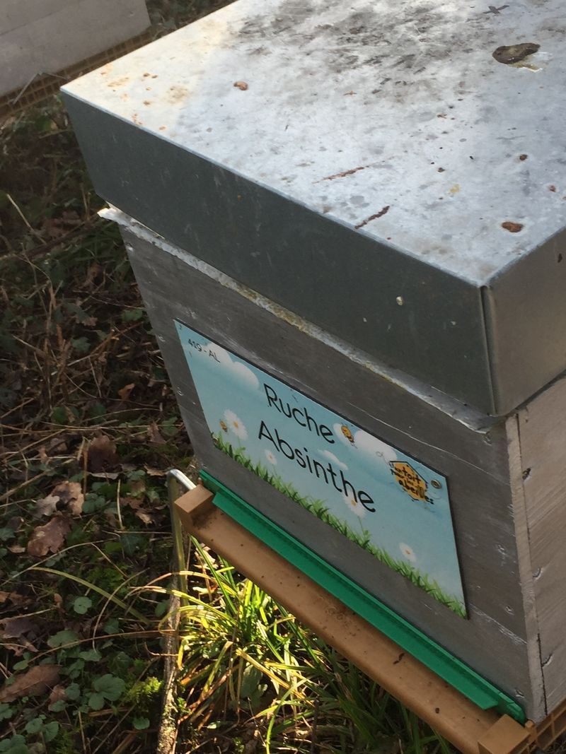 La ruche Absinthe