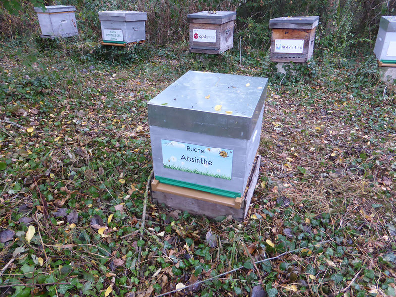 La ruche Absinthe