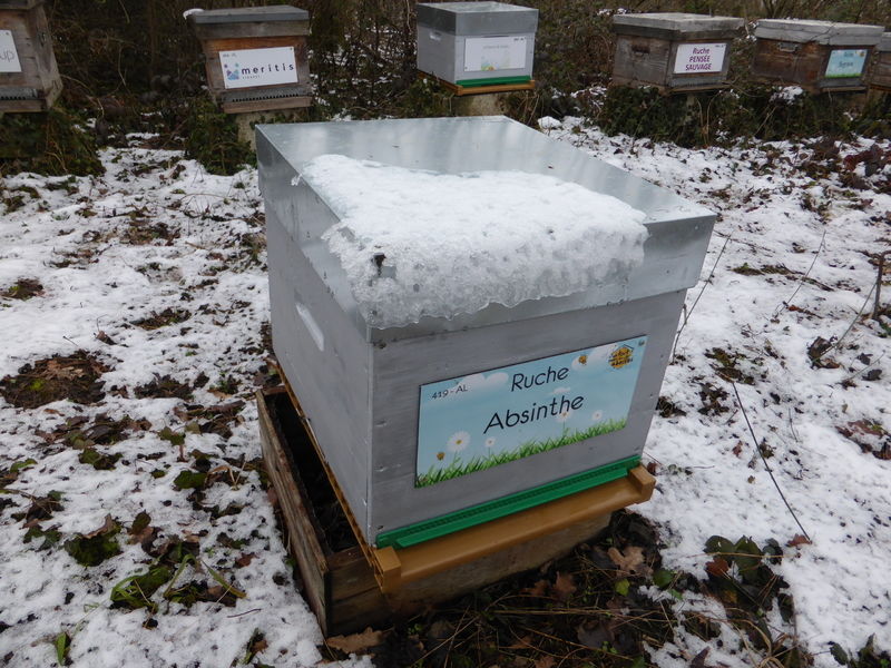 La ruche Absinthe