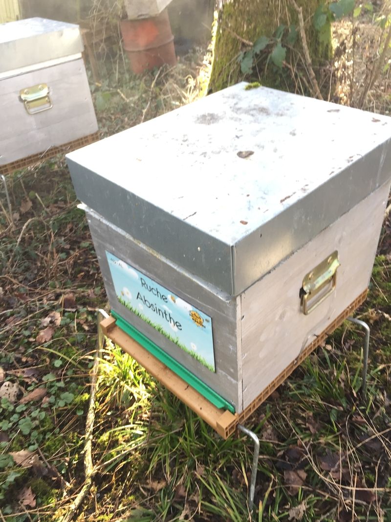 La ruche Absinthe