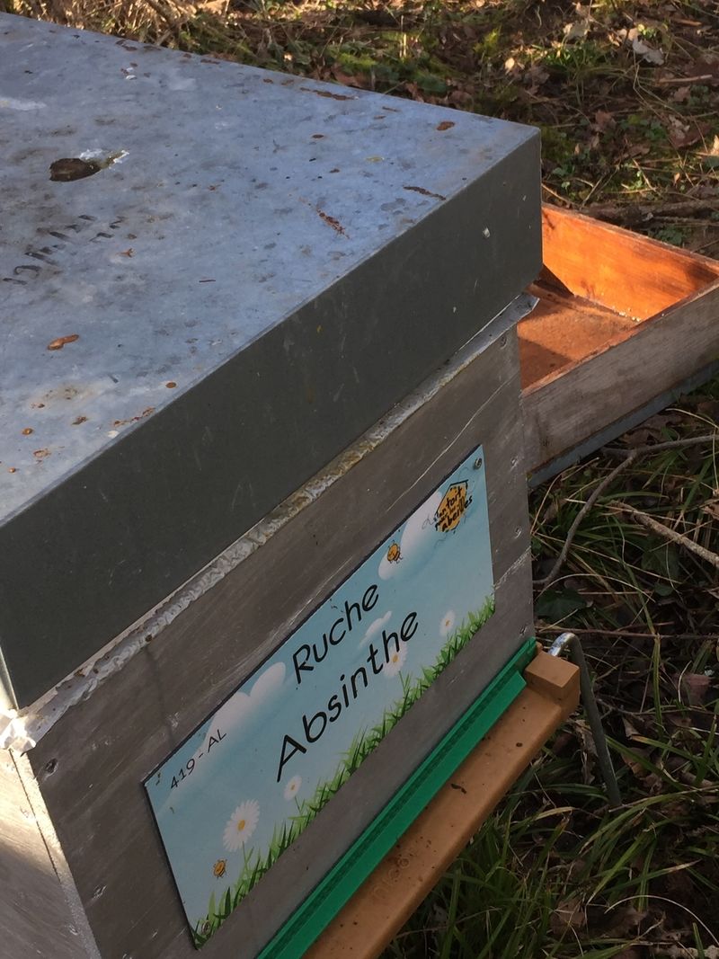 La ruche Absinthe