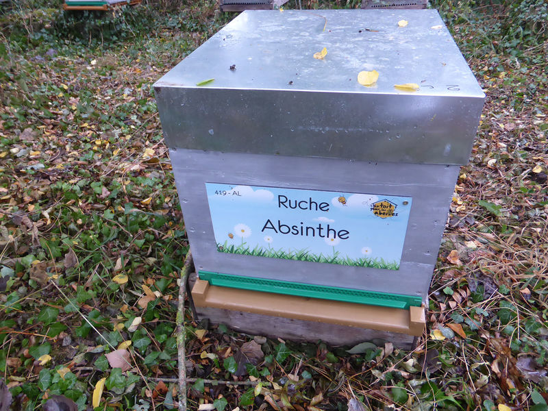 La ruche Absinthe