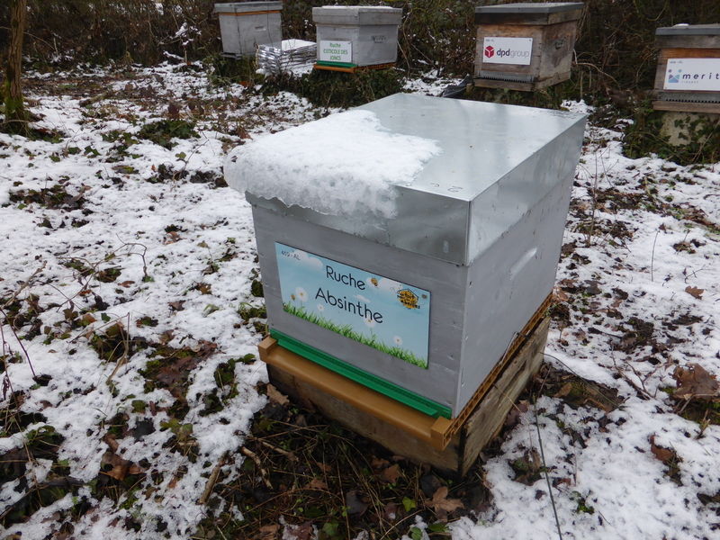 La ruche Absinthe