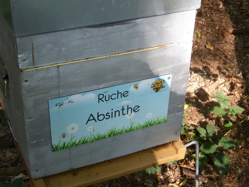 La ruche Absinthe