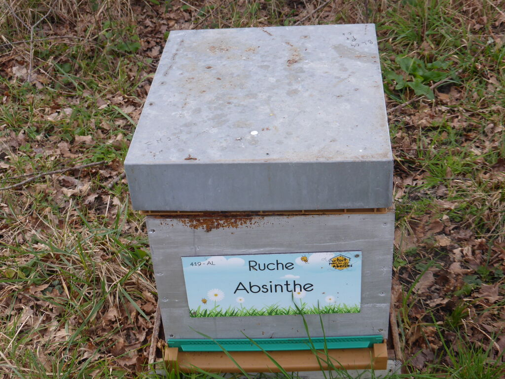 La ruche Absinthe