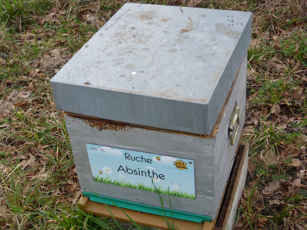 La ruche Absinthe