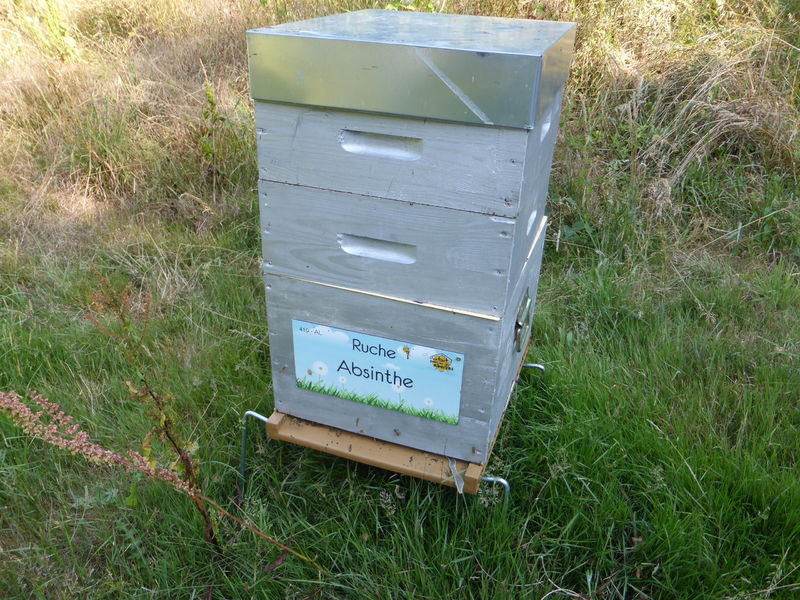 La ruche Absinthe