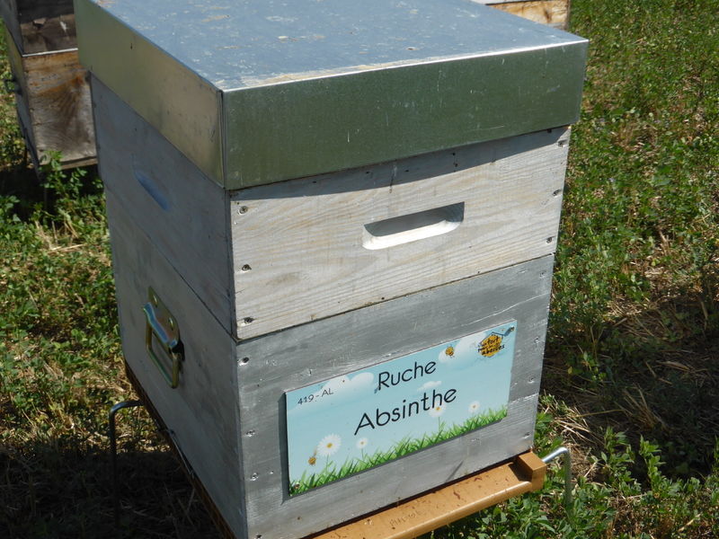 La ruche Absinthe