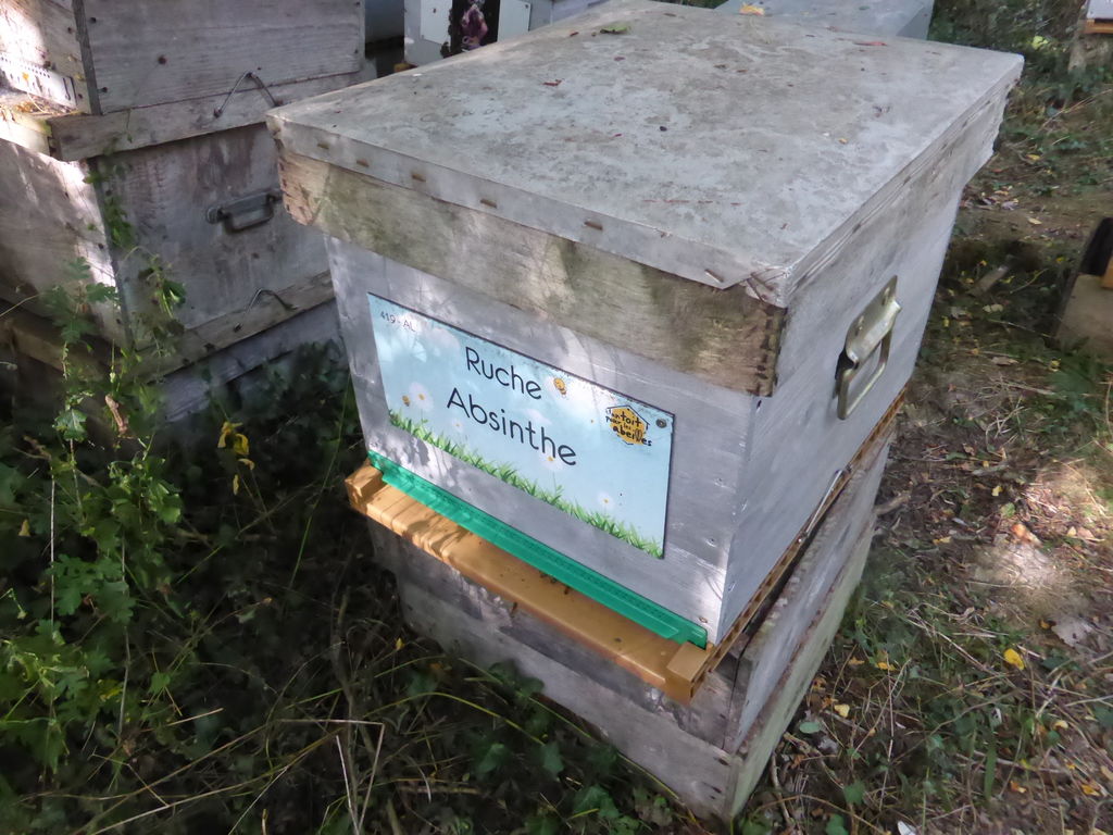 La ruche Absinthe
