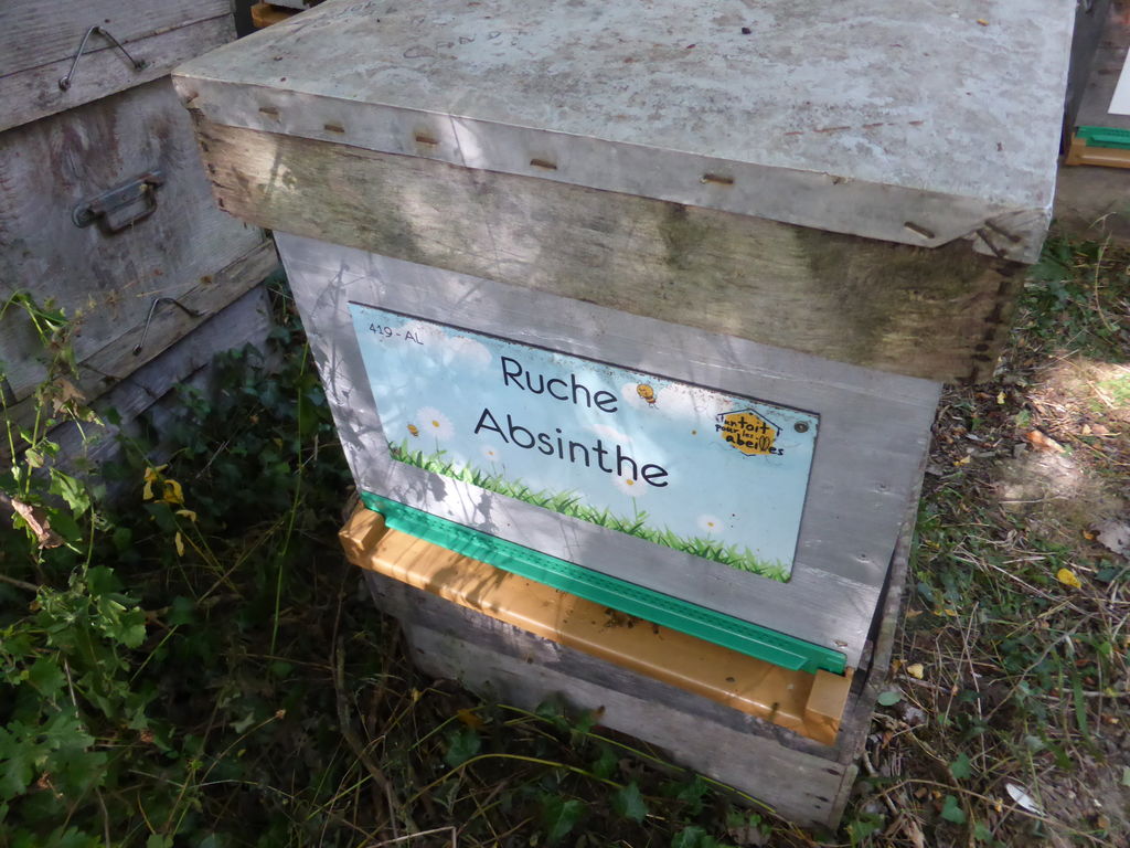 La ruche Absinthe
