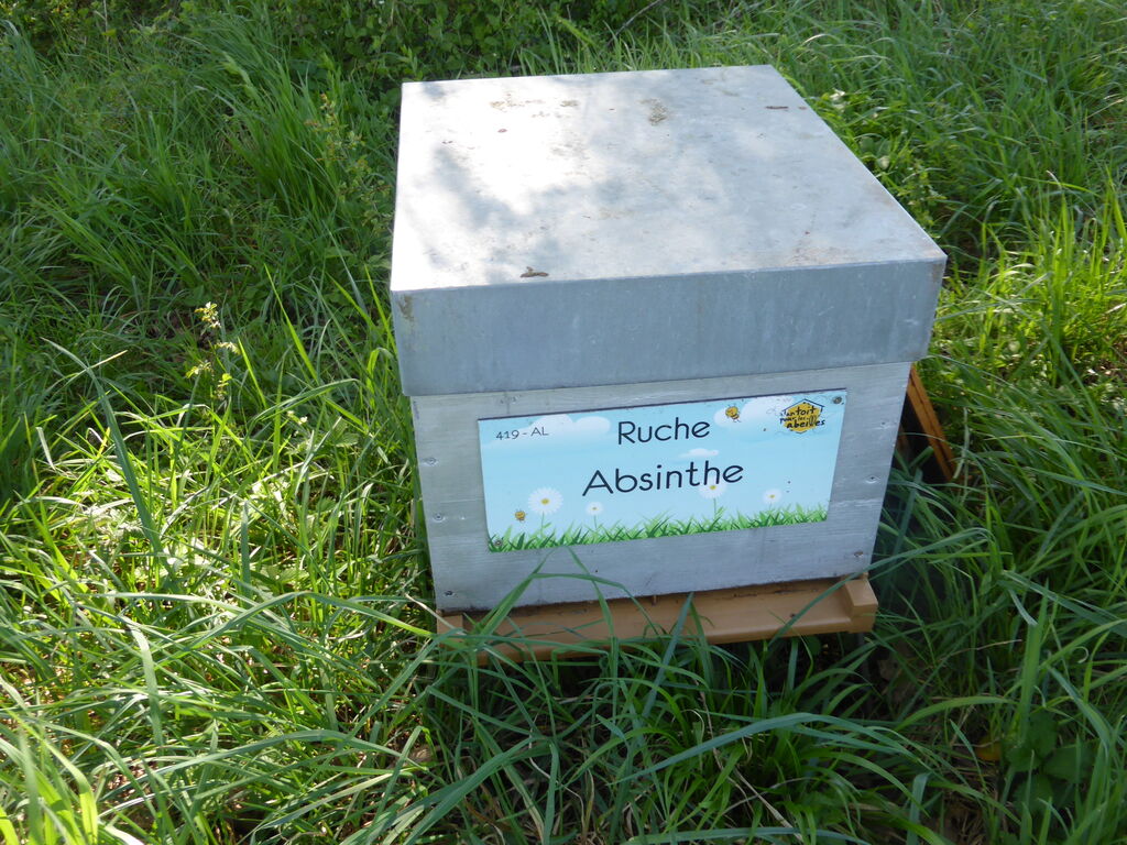 La ruche Absinthe