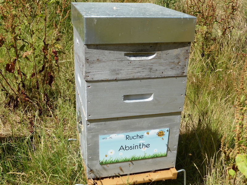 La ruche Absinthe