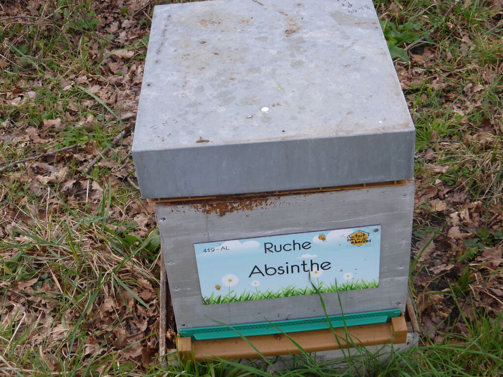La ruche Absinthe
