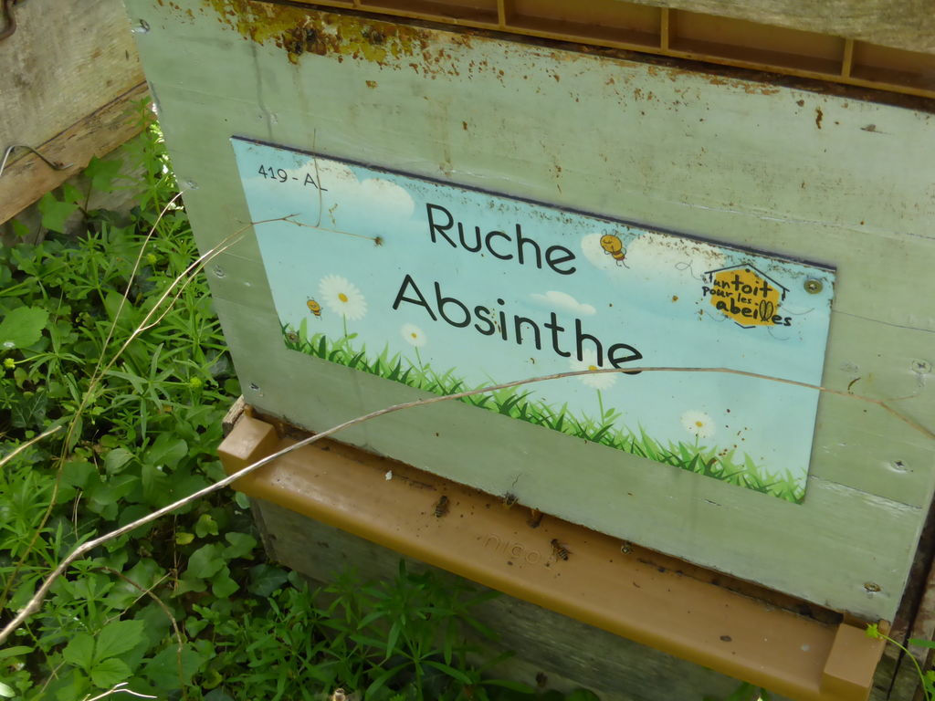 La ruche Absinthe
