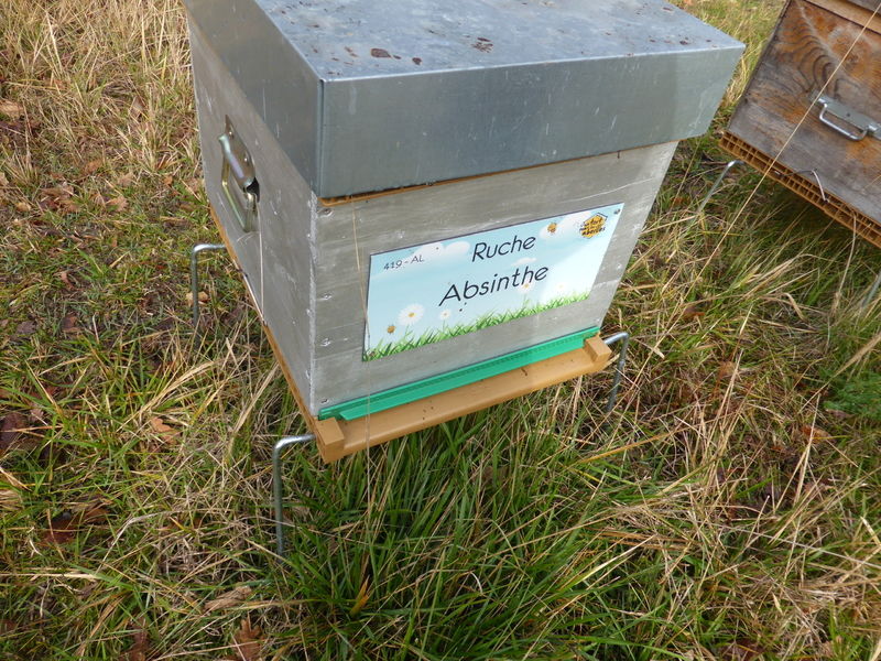 La ruche Absinthe