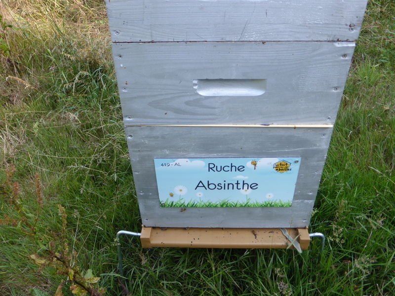 La ruche Absinthe