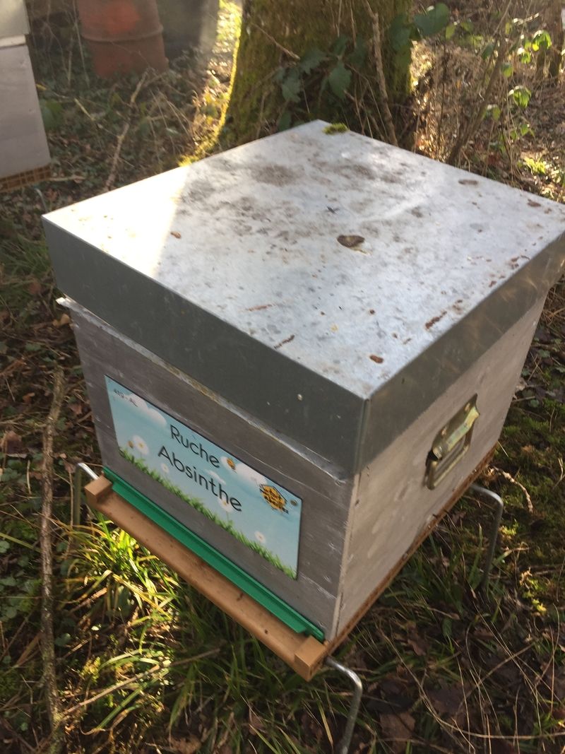 La ruche Absinthe