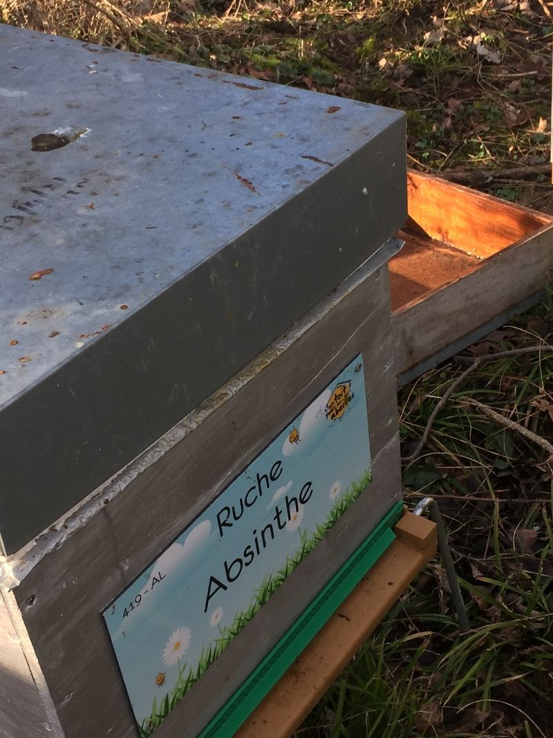 La ruche Absinthe