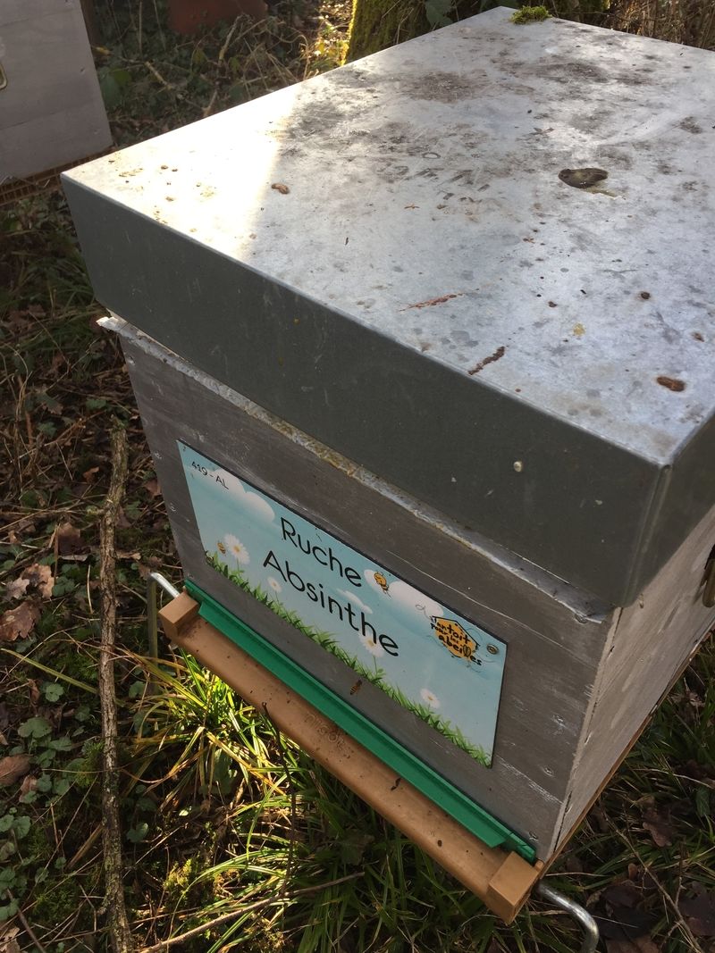 La ruche Absinthe