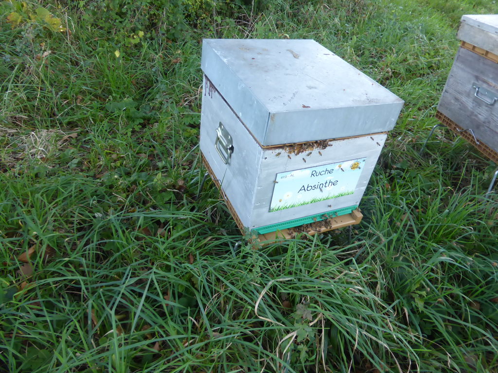 La ruche Absinthe