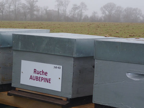 La ruche Aubépine
