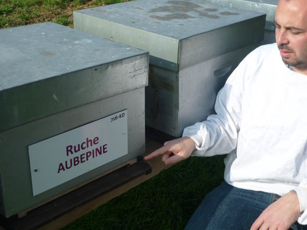La ruche Aubépine
