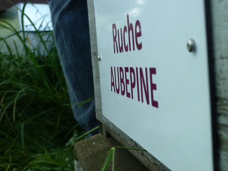 La ruche Aubépine