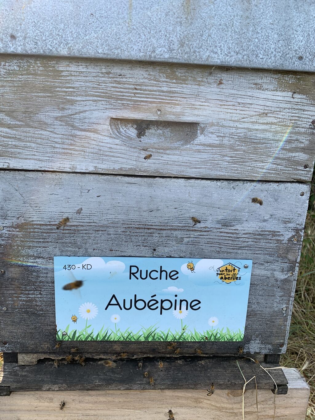 La ruche Aubépine