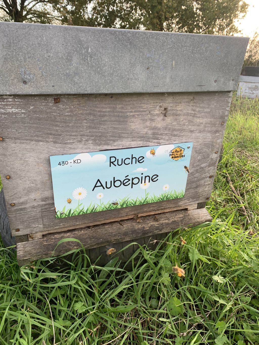 La ruche Aubépine