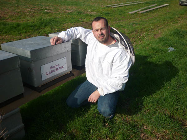 La ruche Aulne blanc