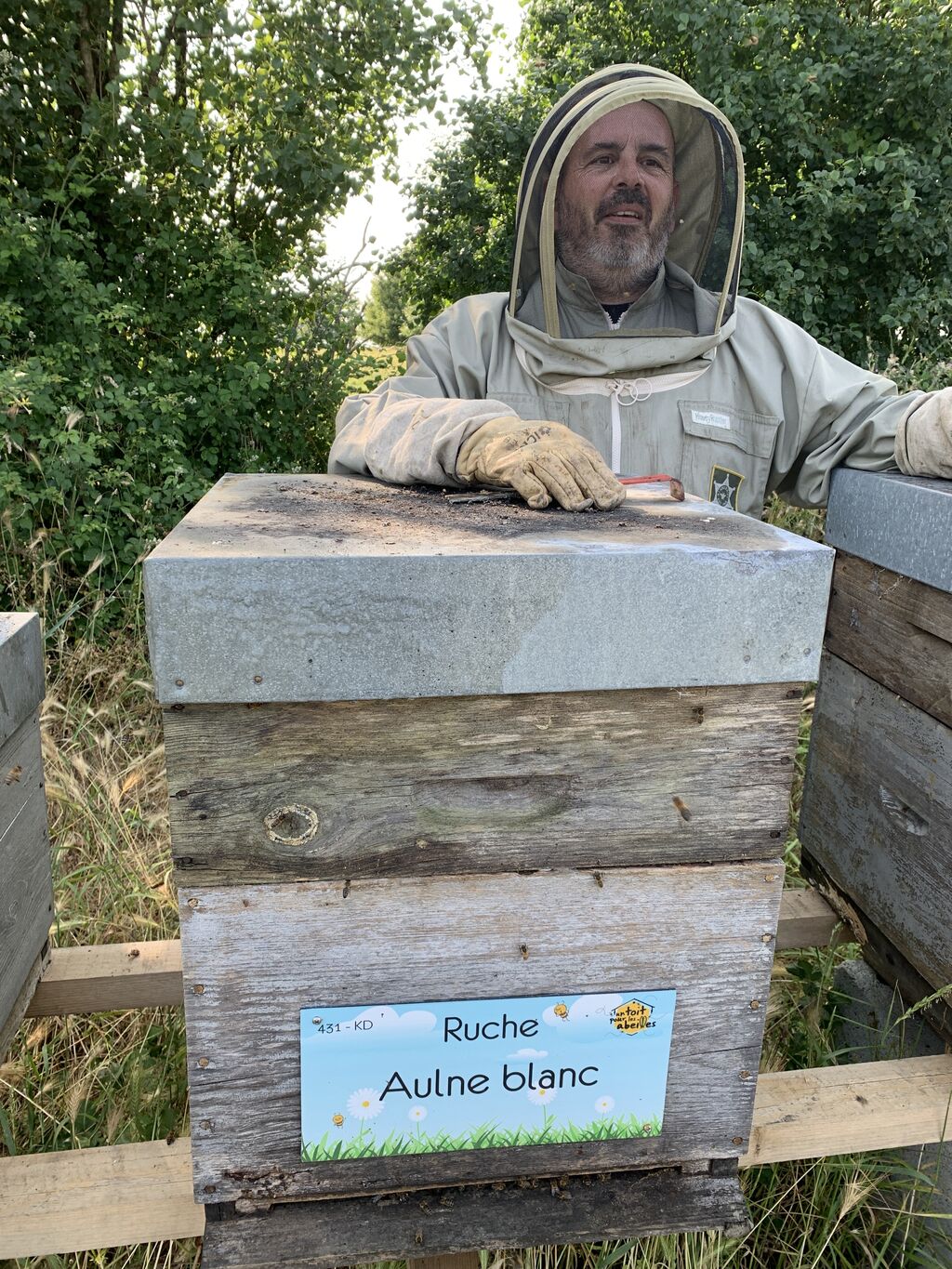 La ruche Aulne blanc