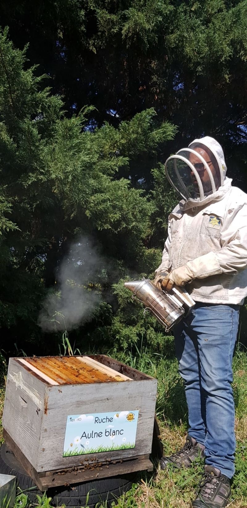 La ruche Aulne blanc