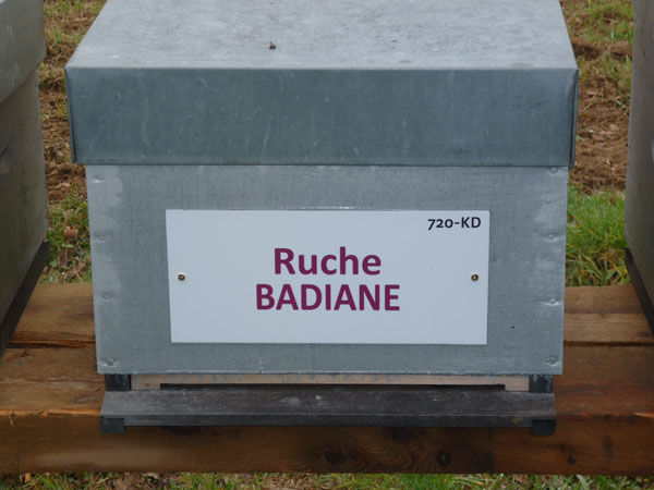 La ruche Badiane