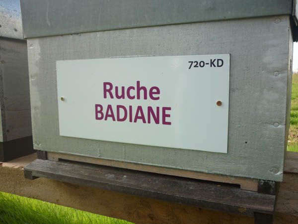 La ruche Badiane