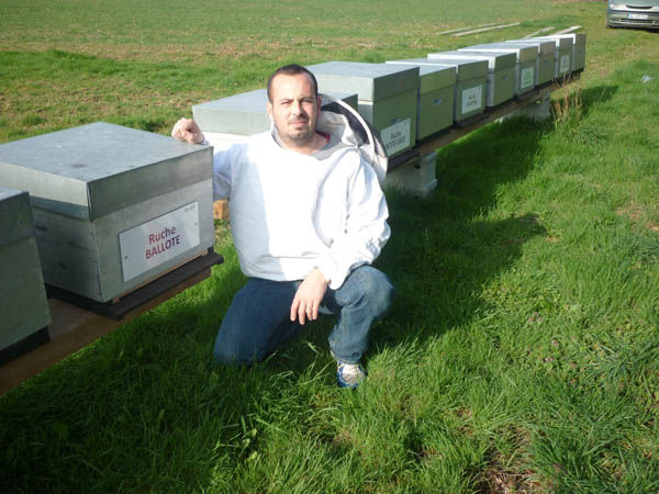 La ruche Ballote