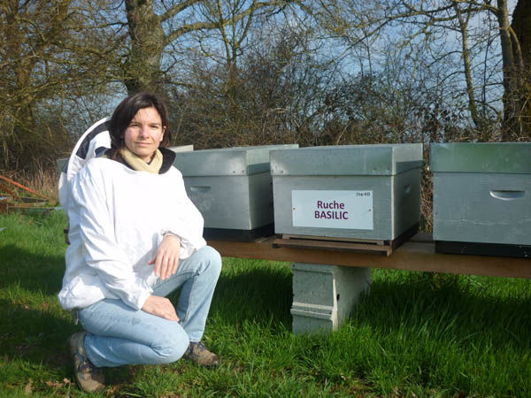 La ruche Basilic