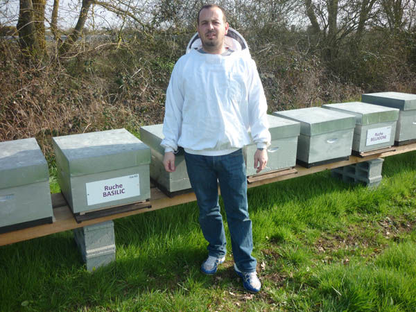 La ruche Basilic
