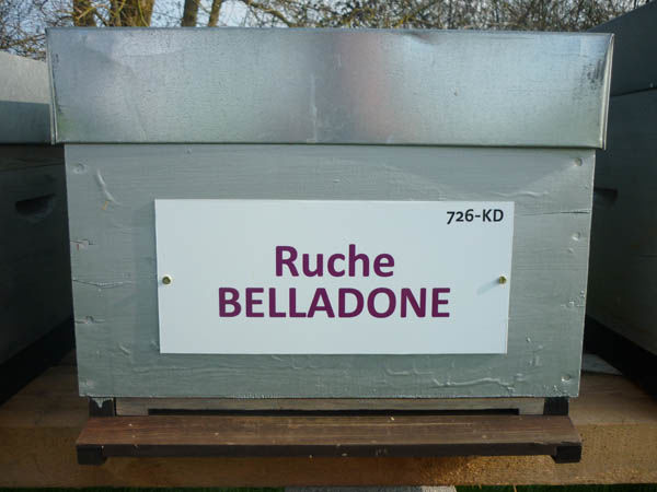 La ruche Belladone